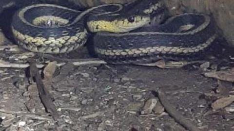 something else  - 20200503_173722.jpg