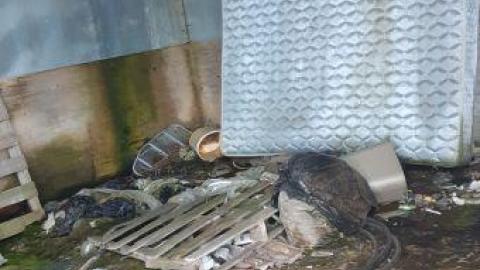 Photo from something else 