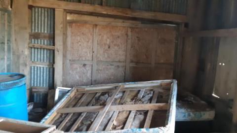 something else  - 20200503_170938.jpg