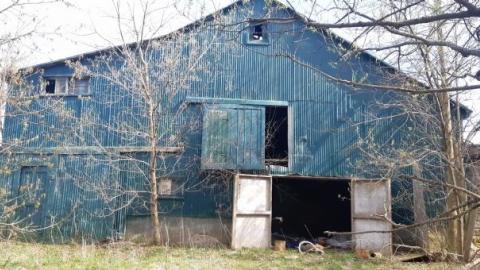 something else  - 20200503_170525.jpg