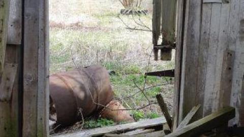 something else  - 20200503_165550.jpg