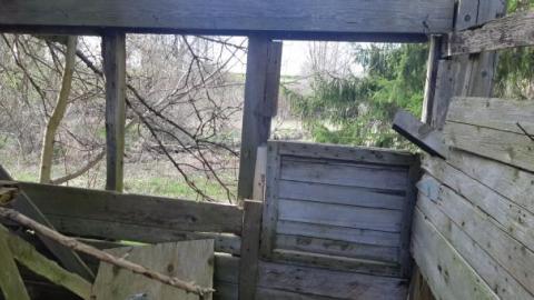 something else  - 20200503_165530.jpg