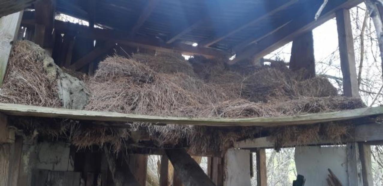 something else  - 20200503_165515.jpg