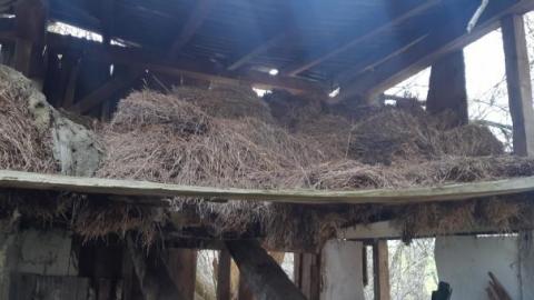 something else  - 20200503_165515.jpg