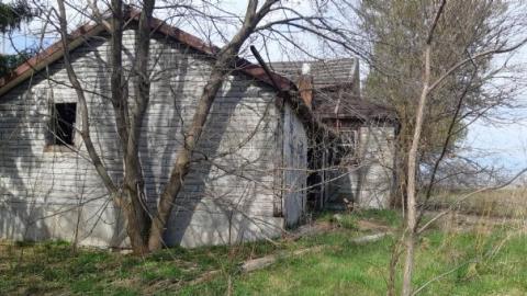 something else  - 20200503_165350.jpg