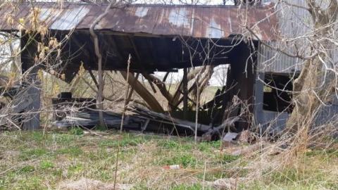 something else  - 20200503_165257.jpg