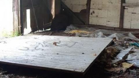 something else  - 20200503_164825.jpg