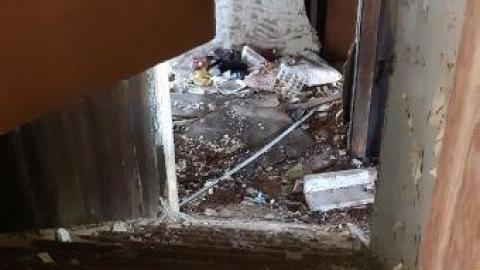 something else  - 20200503_163325.jpg