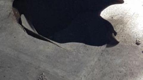 something else  - 20200503_161638.jpg