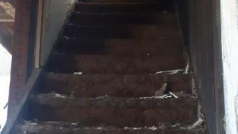 something else  - 20200503_160757.jpg