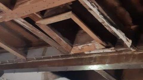 something else  - 20200503_160016.jpg