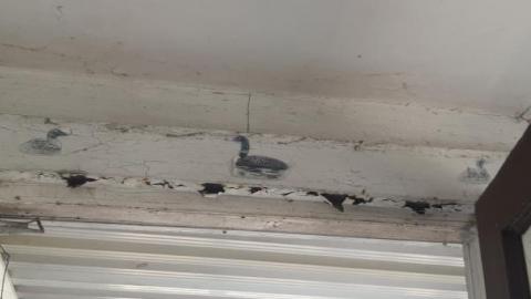 something else  - 20200503_155828.jpg