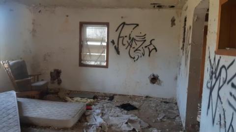 something else  - 20200503_155741.jpg