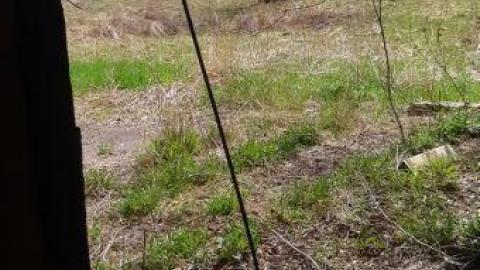 something else  - 20200503_152714.jpg