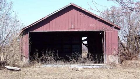 Gone Before Its Time photo 4