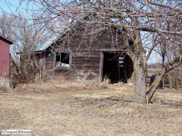 Gone Before Its Time photo 3