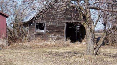 Gone Before Its Time photo 3