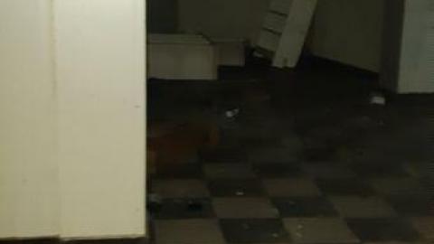 old bakery - 20200424_173641.jpg