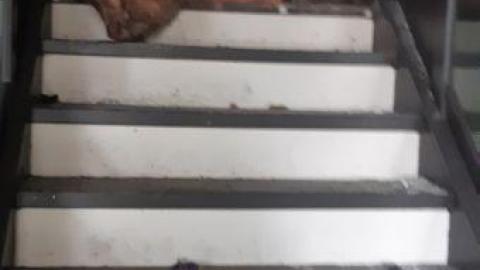 old bakery - 20200424_174714.jpg