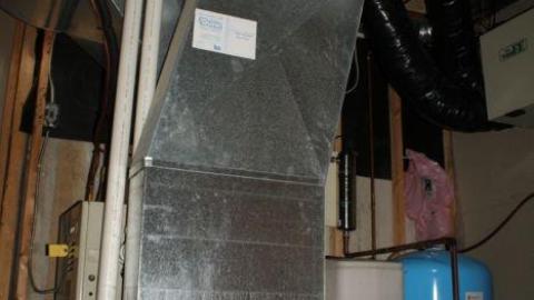 THEYRE WATCHING. - IMG_0109.jpg