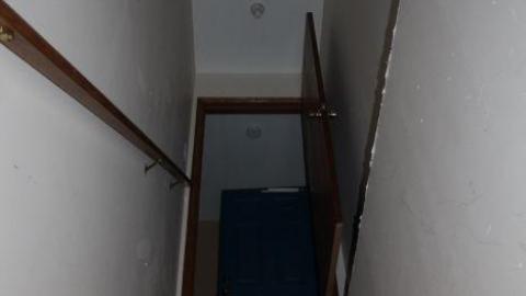 THEYRE WATCHING. - IMG_0120.jpg