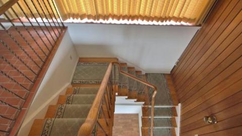 Spring 2020 - IMG_8599.jpg