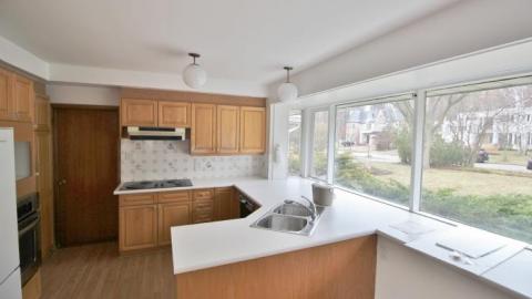 Spring 2020 - IMG_8603.jpg