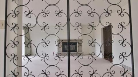 Spring 2020 - IMG_8607.jpg