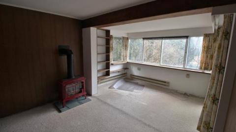 Spring 2020 - IMG_8582.jpg