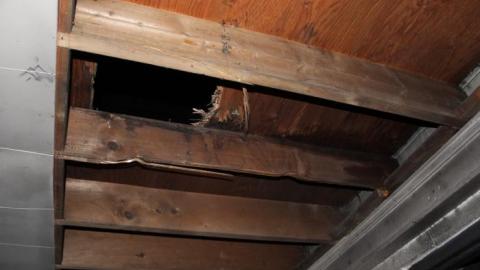 Nao No Moar - IMG_0322.jpg