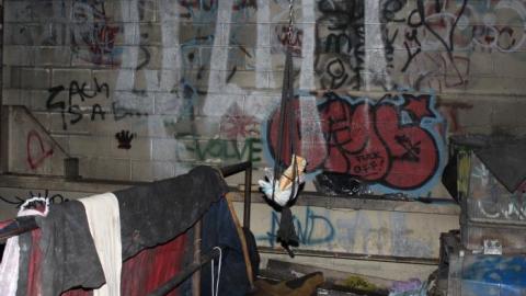 Nao No Moar - IMG_0329.jpg