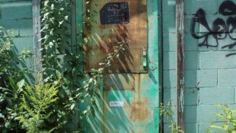 Only Hit Half. - IMG_8234.jpg