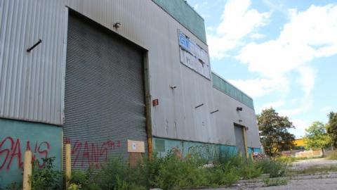 Only Hit Half. - IMG_8237.jpg