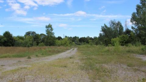 Only Hit Half. - IMG_8240.jpg