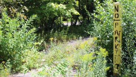 Only Hit Half. - IMG_8264.jpg