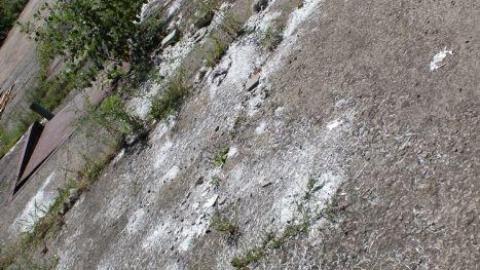 Only Hit Half. - IMG_8265.jpg