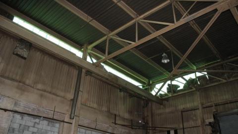 Only Hit Half. - IMG_8769.jpg