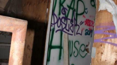 Only Hit Half. - IMG_8784.jpg