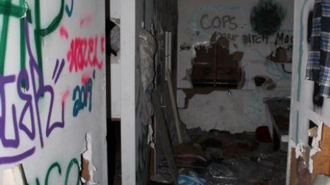 Only Hit Half. - IMG_8785.jpg