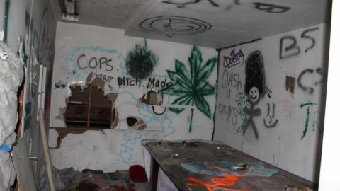 Only Hit Half. - IMG_8786.jpg