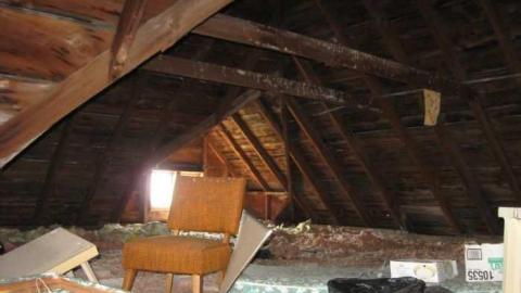 Random House photo 2