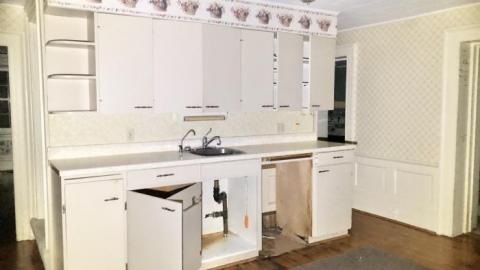 What a beauty!! - B7B16DA5-05EB-4270-AAA0-A6689E36D9CA.jpeg