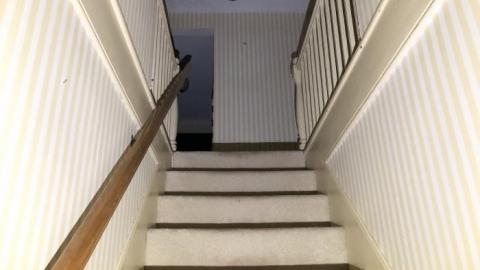 What a beauty!! - BCA13037-5A30-4A56-AEB5-79C9BA5C2F92.jpeg