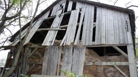 First Time W/Pikaswed420 19' - IMG_9095.jpg