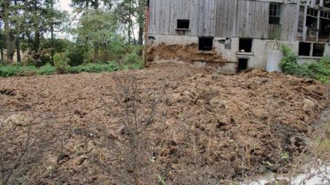 First Time W/Pikaswed420 19' - IMG_9099.jpg