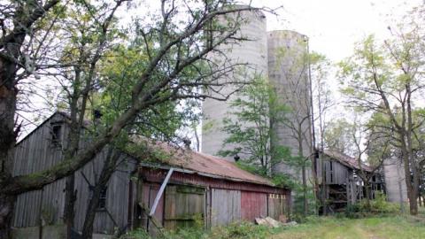 First Time W/Pikaswed420 19' - IMG_9080.jpg