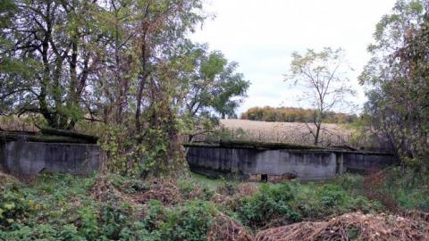 First Time W/Pikaswed420 19' - IMG_9103.jpg