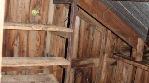 First Time W/Pikaswed420 19' - IMG_9108.jpg