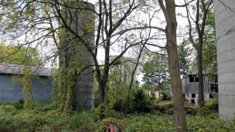 First Time W/Pikaswed420 19' - IMG_9120.jpg