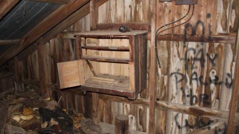 First Time W/Pikaswed420 19' - IMG_9113.jpg